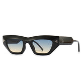 (6) PACK Wholesale Sunglasses 2023 M231601